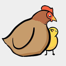 Corsi della Funky Farm